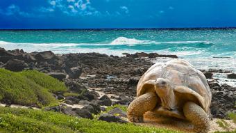 Galápagos reabre sus puertas al turismo