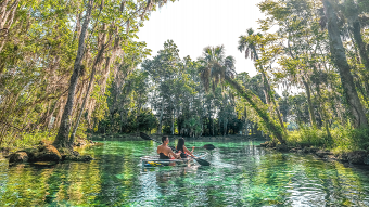 Los mejores 5 destinos ecológicos de la Florida