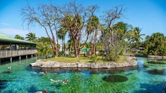 Islas Caimán invita a disfrutar tres destino en uno solo