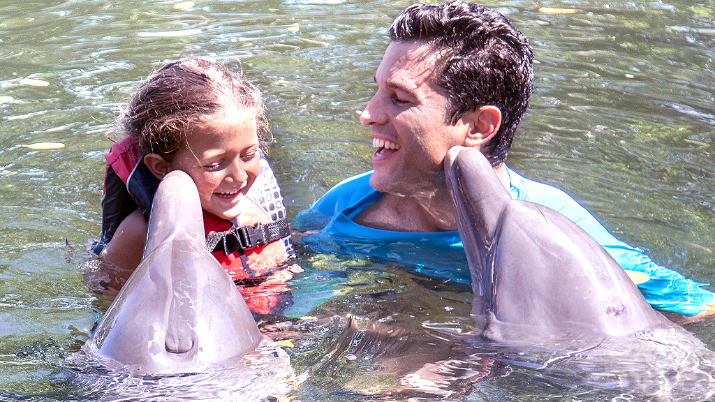 Dónde y cómo compartir con los delfines en Florida