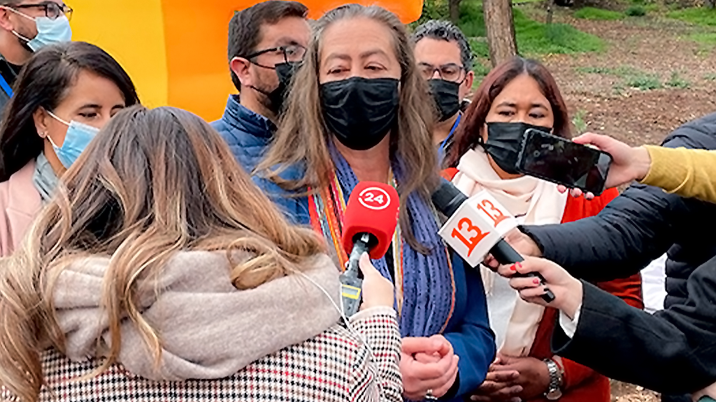 Chile anuncia homologación de vacunas contra COVID-19 en un máximo de 48 horas 