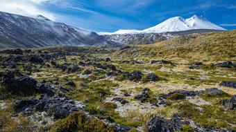Chile declara cinco nuevos territorios como "Zonas de Interés Turístico"