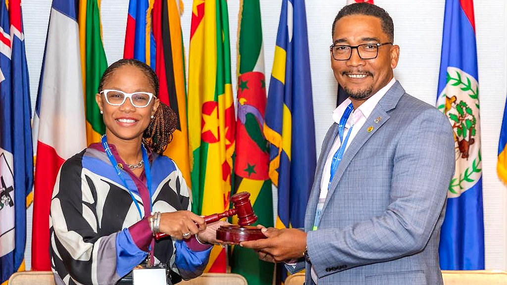 CTO anuncia al Ministro de Turismo de las Islas Caimán como nuevo presidente